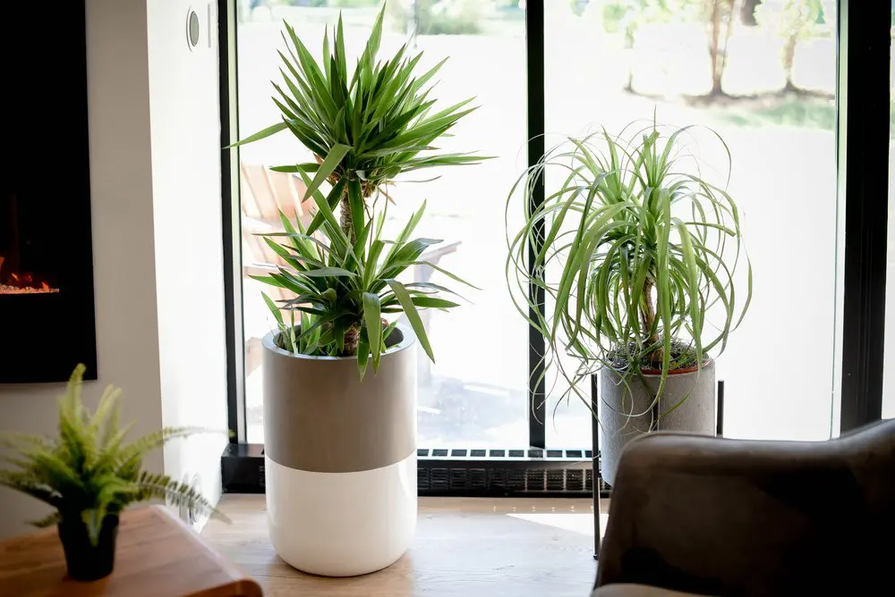 2727 Coworking Montreal office space photo 122 - modern workspace, private offices, and amenities in Griffintown