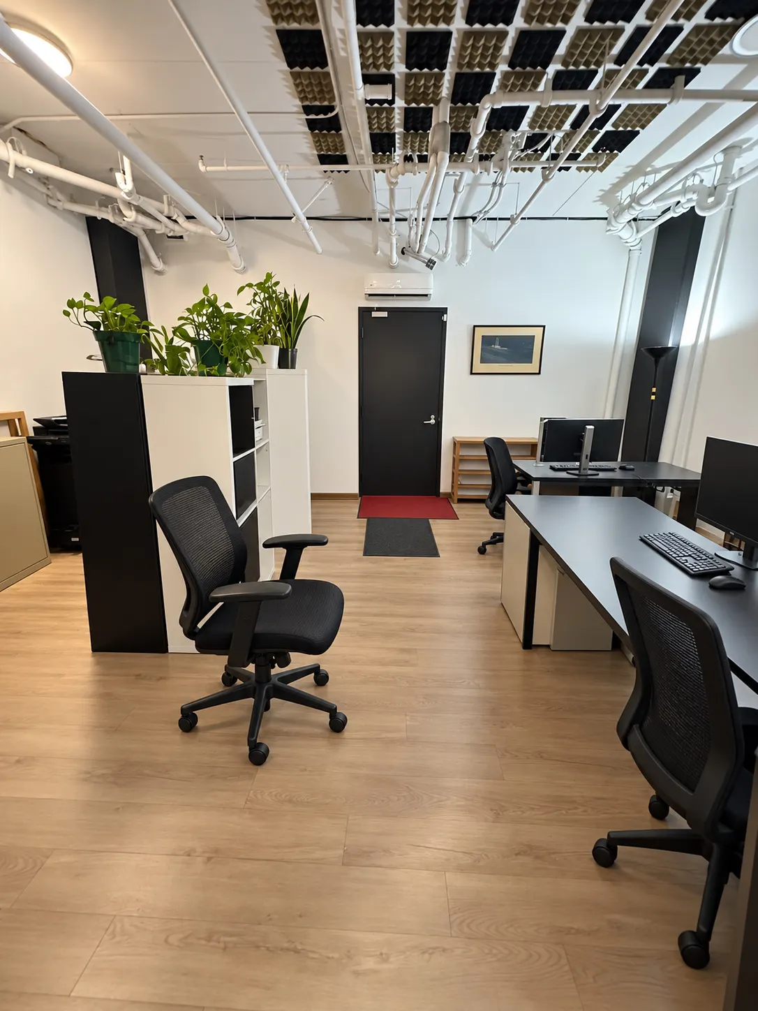 Bureau privé 105-1 au 2727 Coworking, Griffintown : rangée de bureaux noirs avec écrans et fauteuils en filet, étagères ouvertes coiffées de plantes et mousse acoustique au plafond