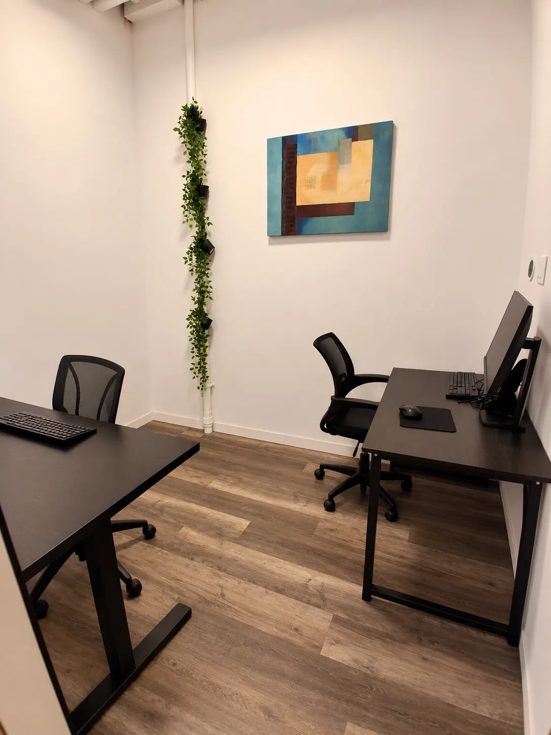 Bureau privé 106-1A au 2727 Coworking, Griffintown : deux bureaux noirs avec fauteuils en filet sur des murs opposés, toile turquoise et or et verdure grimpant le long d'un tuyau