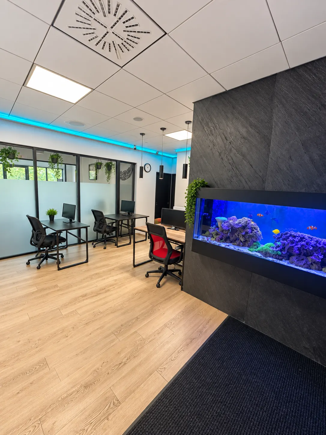 Bureau privé 107-1 au 2727 Coworking, Griffintown : aquarium récifal encastré dans un mur au fini ardoise, avec des postes de travail et des cloisons en verre givré.