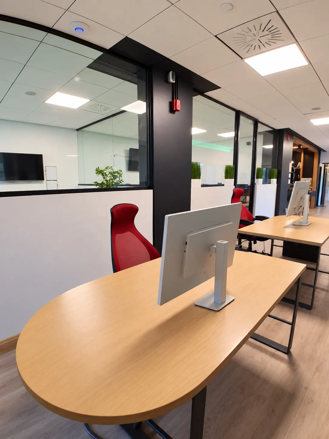 Poste dédié 109-A au 2727 Coworking, Griffintown : bureau arrondi en chêne, écran blanc et chaise rouge à dossier haut, face à un corridor de bureaux vitrés